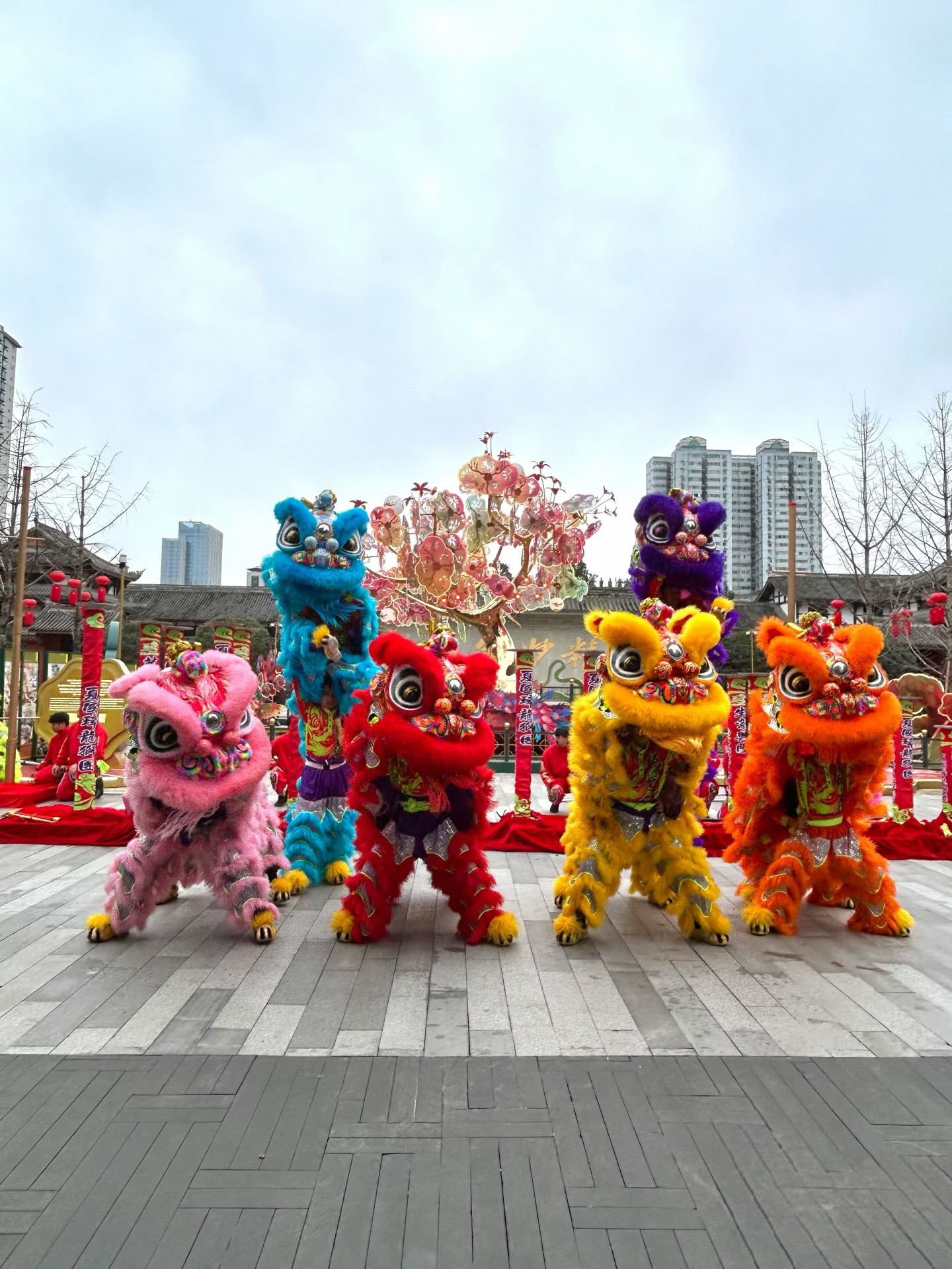 西安年会主持人,晚会主持人,暖场主持人、魔术师表演,舞蹈节目,开场舞蹈,大型舞蹈表演 西安年会主持人,晚会主持人,暖场主持人、魔术师表演,舞蹈节目,开场舞蹈,大型舞蹈表演