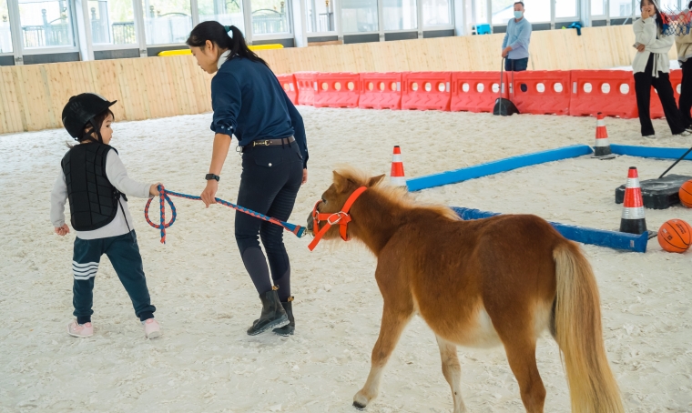 与马同行，感知世界：苏州三六六青少年马术体验营火热招生